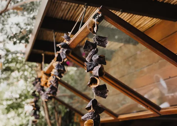 Hotel Pachamama Alaçatı