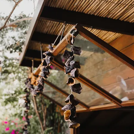 Hotel Pachamama Alacati